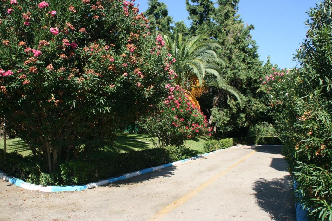 Batis Hotel Livanátai エクステリア 写真