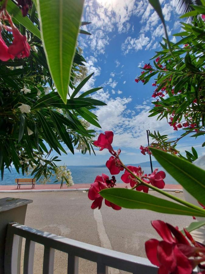 Batis Hotel Livanátai エクステリア 写真